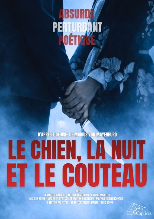 Affiche du spectacle Le Chien, la nuit & le couteau